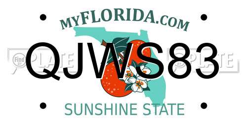 QJWS83 Florida License Plate