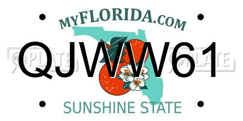 QJWW61 Florida License Plate