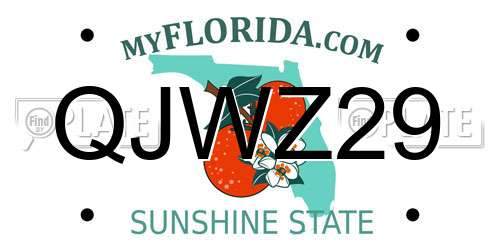 QJWZ29 Florida License Plate