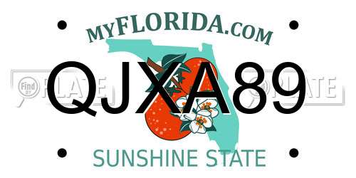 QJXA89 Florida License Plate