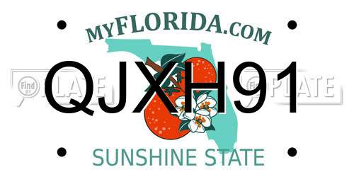 QJXH91 Florida License Plate