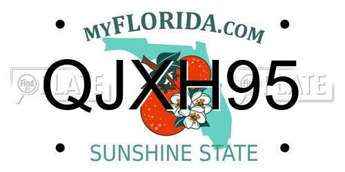 QJXH95 Florida License Plate