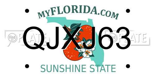 QJXJ63 Florida License Plate