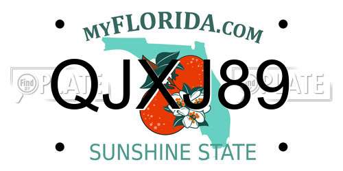 QJXJ89 Florida License Plate