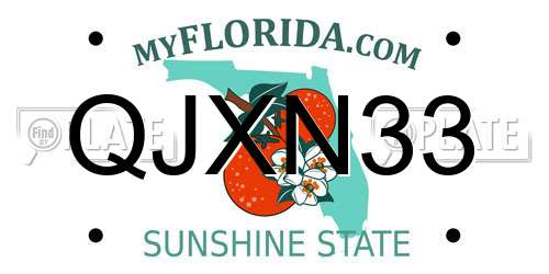 QJXN33 Florida License Plate