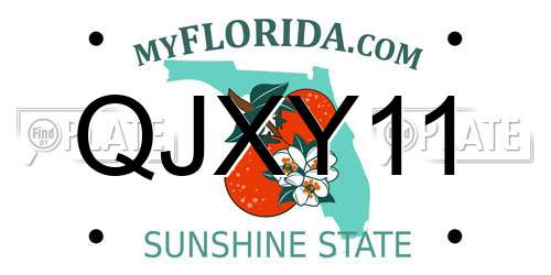 QJXY11 Florida License Plate
