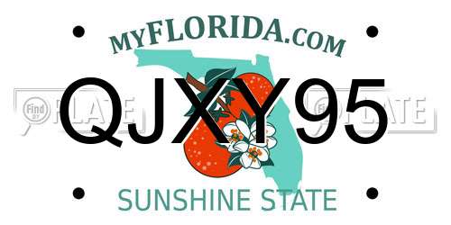 QJXY95 Florida License Plate