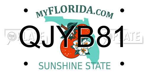 QJYB81 Florida License Plate