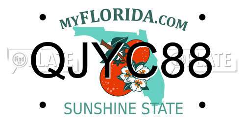 QJYC88 Florida License Plate