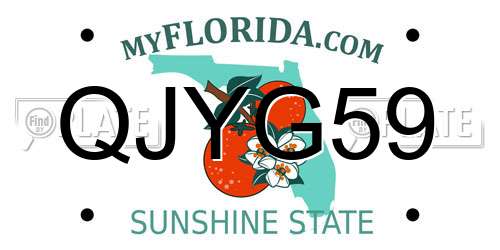 QJYG59 Florida License Plate