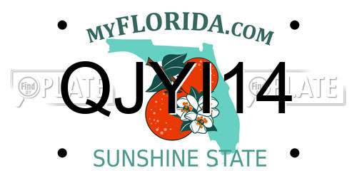 QJYI14 Florida License Plate