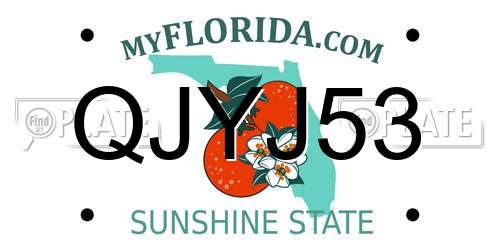 QJYJ53 Florida License Plate