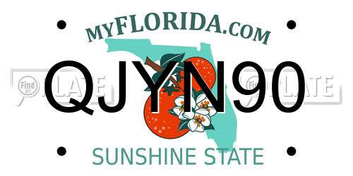 QJYN90 Florida License Plate