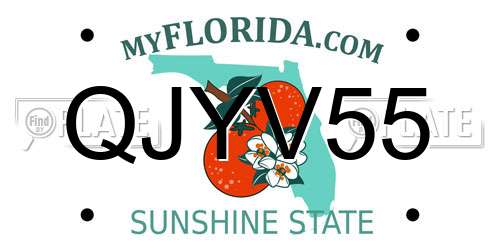 QJYV55 Florida License Plate