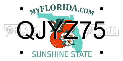 QJYZ75 Florida License Plate