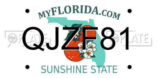 QJZF81 Florida License Plate