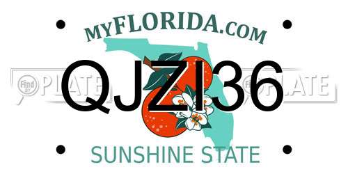 QJZI36 Florida License Plate