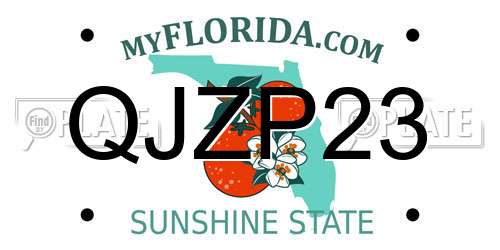 QJZP23 Florida License Plate