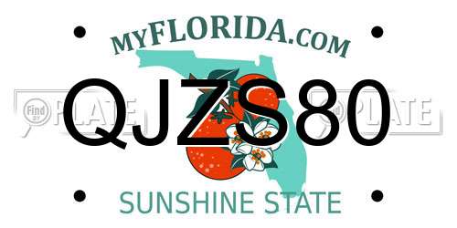 QJZS80 Florida License Plate