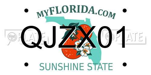 QJZX01 Florida License Plate
