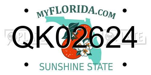 QK02624 Florida License Plate