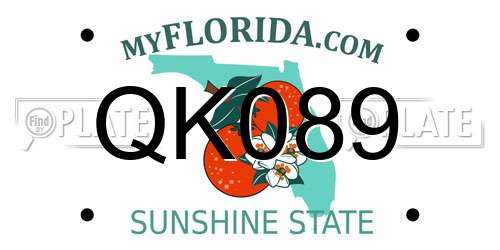 QK089 Florida License Plate