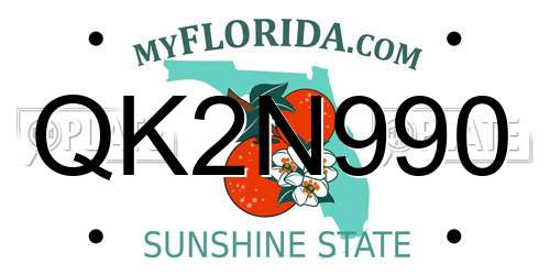 QK2N990 Florida License Plate