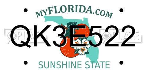 QK3E522 Florida License Plate