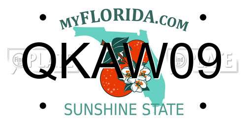 QKAW09 Florida License Plate