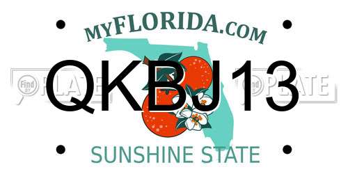 QKBJ13 Florida License Plate