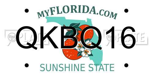 QKBQ16 Florida License Plate