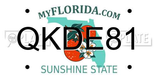 QKDE81 Florida License Plate