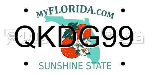 QKDG99 Florida License Plate