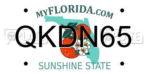 QKDN65 Florida License Plate