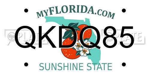 QKDQ85 Florida License Plate