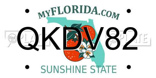 QKDV82 Florida License Plate