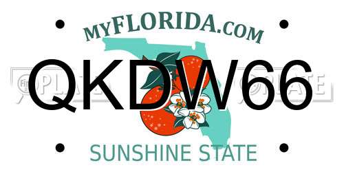 QKDW66 Florida License Plate