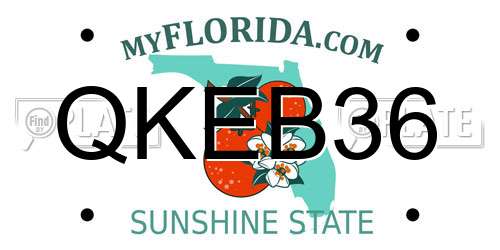 QKEB36 Florida License Plate