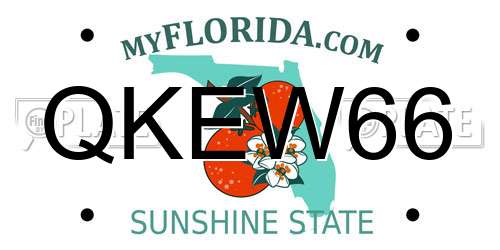 QKEW66 Florida License Plate