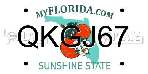 QKGJ67 Florida License Plate