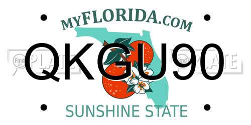 QKGU90 Florida License Plate