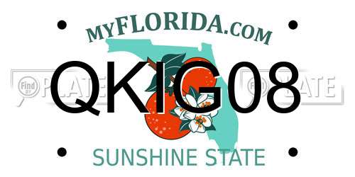 QKIG08 Florida License Plate