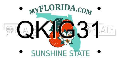 QKIG31 Florida License Plate