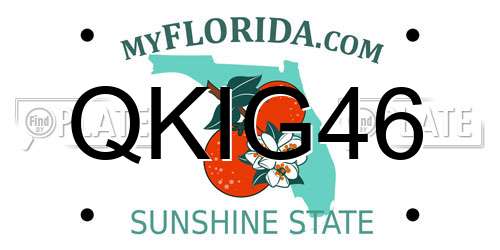 QKIG46 Florida License Plate