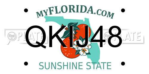 QKIJ48 Florida License Plate