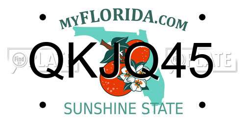 QKJQ45 Florida License Plate