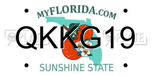 QKKG19 Florida License Plate
