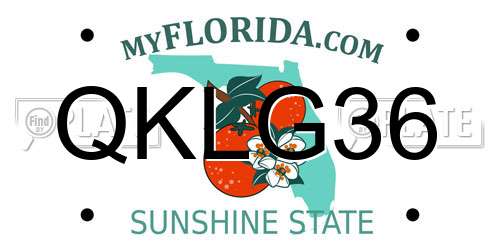 QKLG36 Florida License Plate