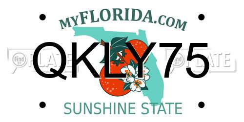 QKLY75 Florida License Plate