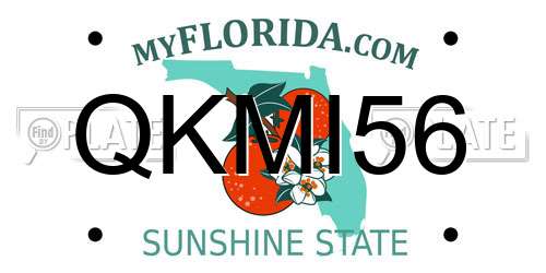 QKMI56 Florida License Plate